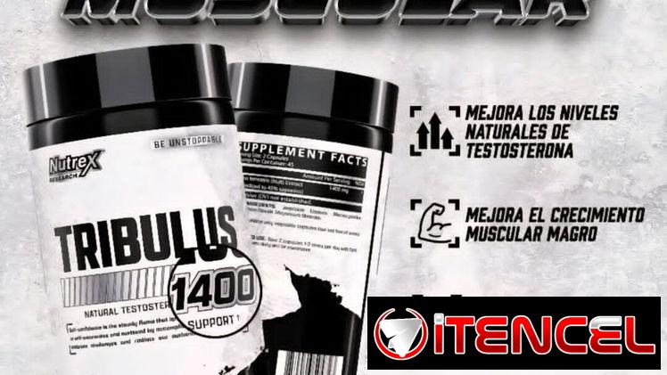 Whey Protein – Proteína – creatina – Quemadores de Grasa – CLA 100- Lipo6 – Impulsor de testosterona Nutrex