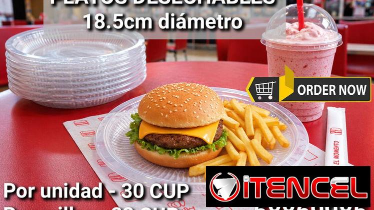 Platos desechables de 18.5cm de diámetro.