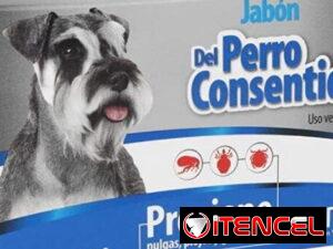 4a9b4db026a325cf5f3dc452c2c723aac2ee536dd930d7f48ba618cbfc975990