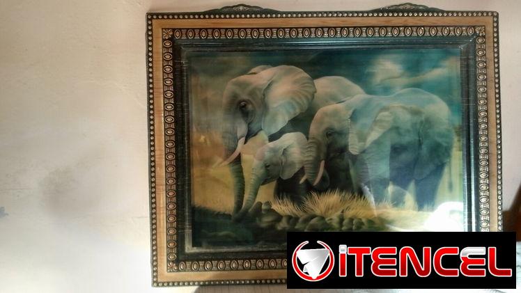 Se vende cuadros en 3D