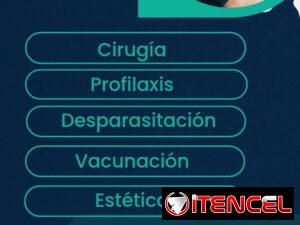 4b820618870360bf513d0216739492844fe057fb2858c336e1354c6d0cfb5cc1