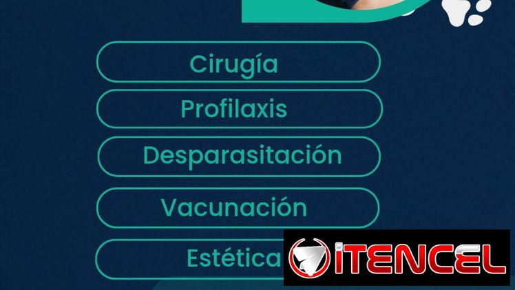 🚨Veterinarios🚨