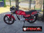 Moto de gasolina Ava