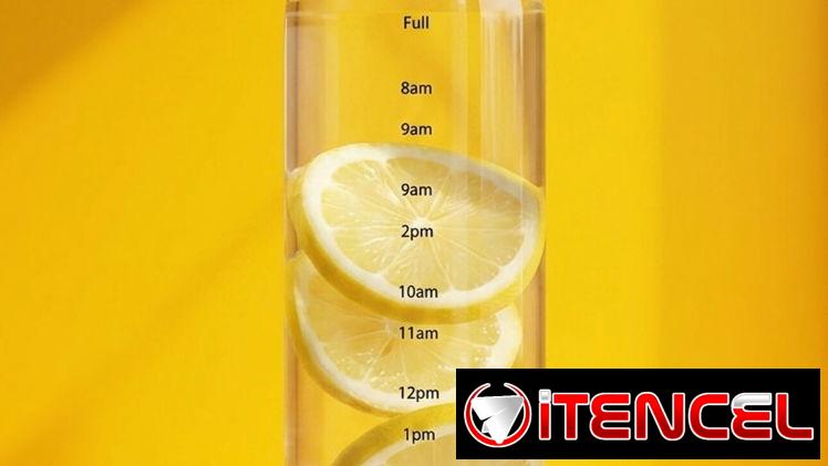 Botellas De Agua Transparentes Claras y Oscuras 700ml
