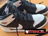 Nike Air Jordan 11.000cup