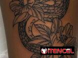 ‼️NUEVO ESTUDIO DE TATUAJES‼️🖤 TATÚATE EN *DARK●SOUL Ink* Tattoo🖤