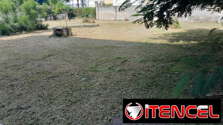 servicios de Jardinería y Limpieza de exteriores ( trabajamos en la mayoría de los Municipios )