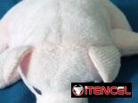 Peluches pequeños