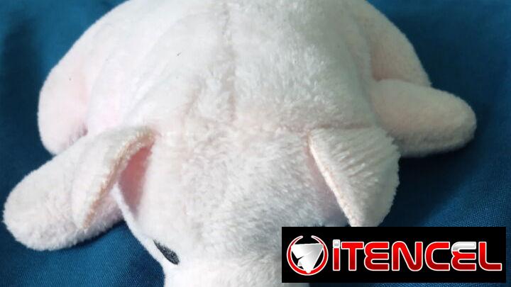 Peluches pequeños