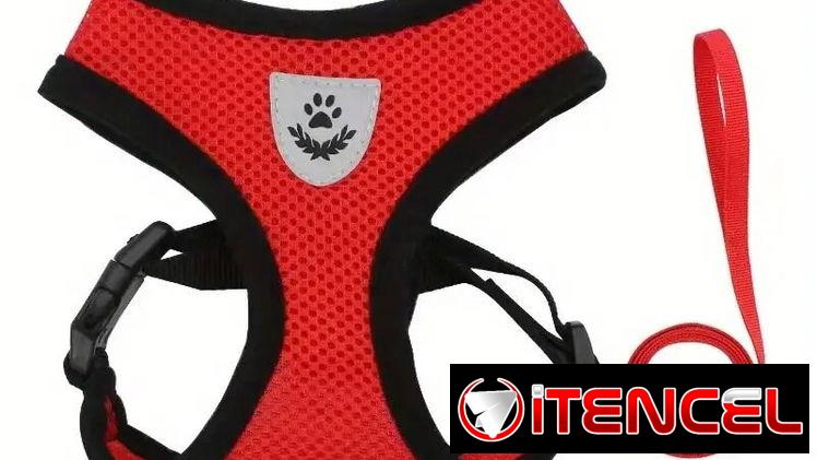 Arnés con correa para perros | Talla S | colores: rojo y rosado