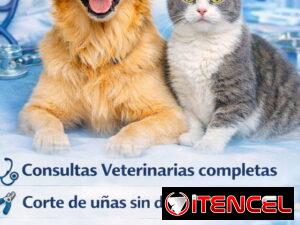 4d6c55a26e478911217ba445e6f21127db2efde429378b970def612358740985