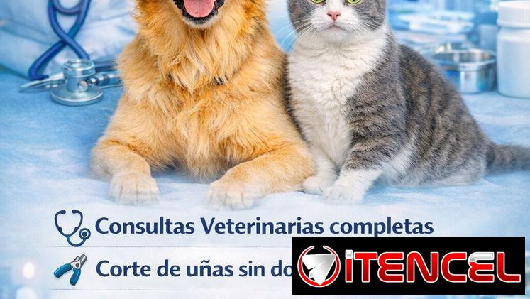 Veterinario a Domicilio