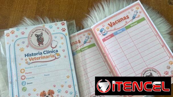 veterinaria a domicilio