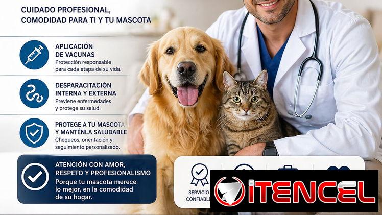 Veterinario a domicilio