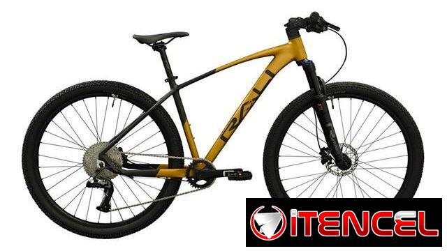 Bicicleta Rali