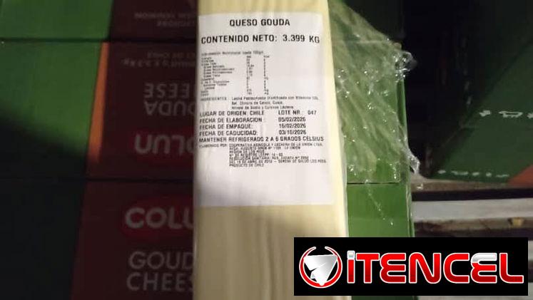 Queso guoda