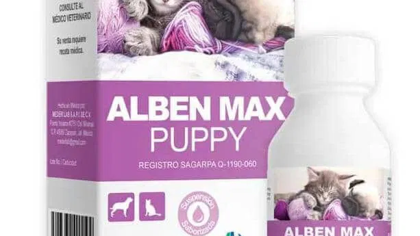 ALBEN MÁX PUPPY