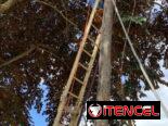 ¡¡¡CAMARAS Y ALARMAS!!! Instalación de Sistemas de Alarmas y Cámaras!!!