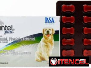 5070b75b5afe48bc60eefaf4ad65227d1fc61dc786fbd17aae3bc976896d805e