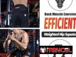 🔥 CINTURÓN DE LASTRE – MÁS PESO, MÁS FUERZA, MÁS RESULTADOS 58234161 y 56902981 FITNESSARMY