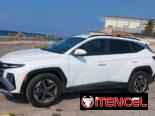 Vendo o negocio yhunday tuccosn del 2025 con 500 millas nada más