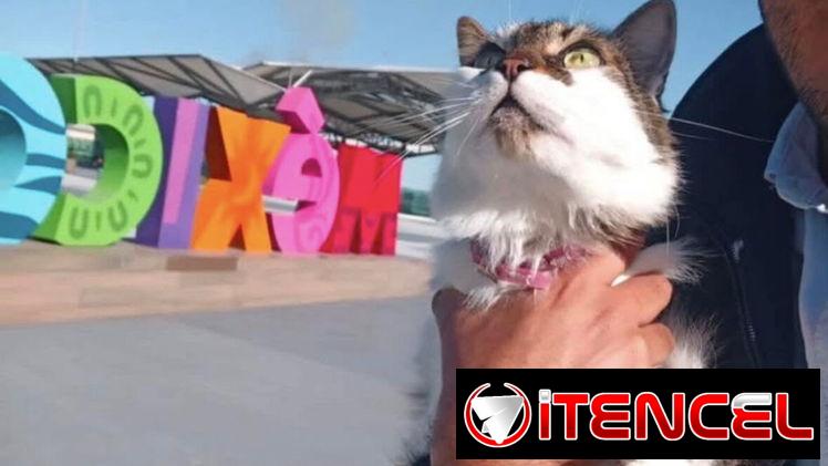 Agencia de viajes de mascotas