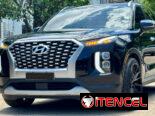Hiunday PALISADE  LIMITED 2022