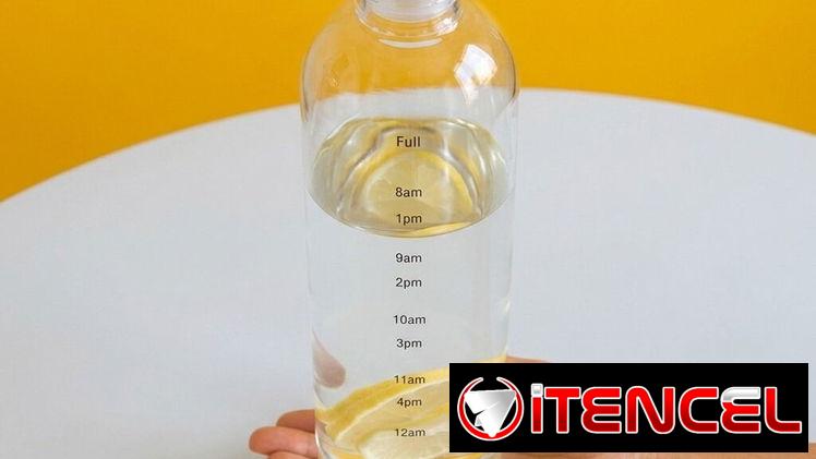 Botellas De Agua Transparentes Claras y Oscuras 700ml