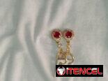 Aretes y anillos