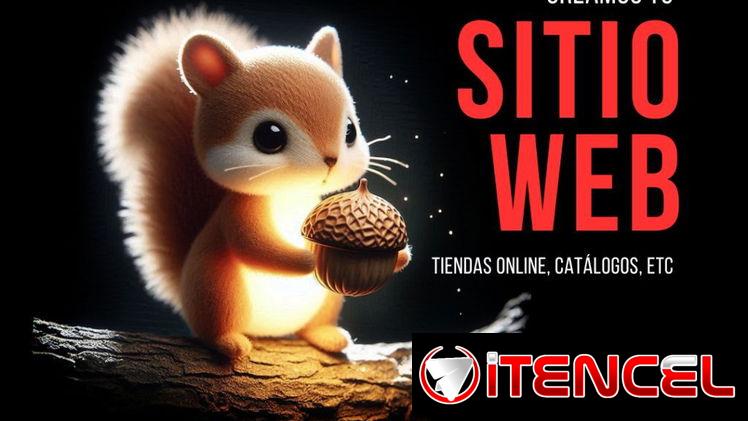 Redes sociales, community manager, web, logo, tienda online, carteles publicitarios.