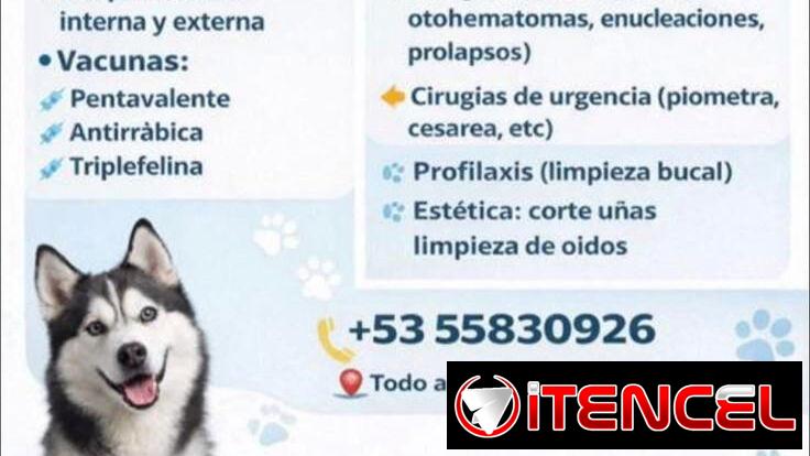 veterinaria a domicilio
