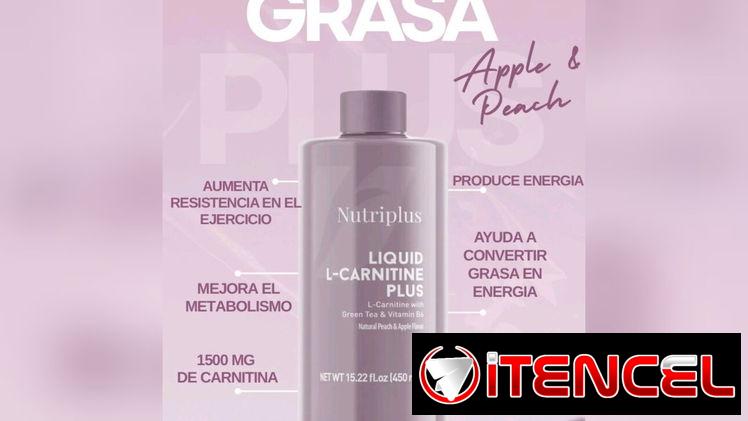 Nutriplus de L Carnitine