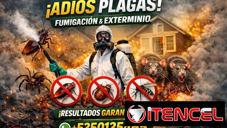 🔥 ¡ELIMINA LAS PLAGAS HOY MISMO O RECUPERA TU TRANQUILIDAD! 🔥