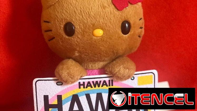 Peluches grandes nuevos