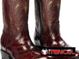 BOTINES BOTAS VAQUERAS O MARIACHIS DE HOMBRE
