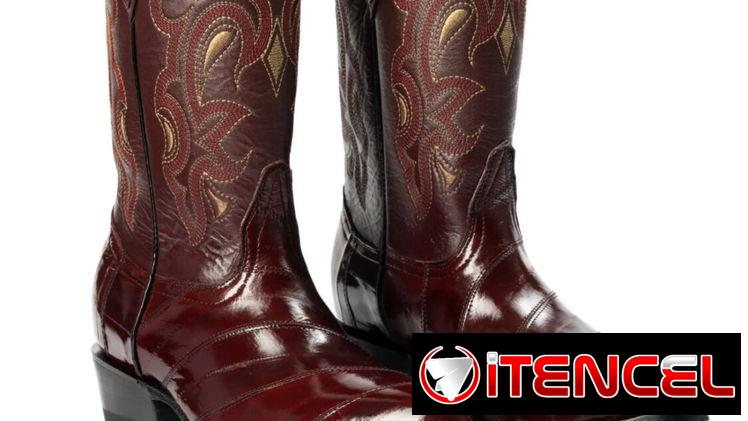 BOTINES BOTAS VAQUERAS O MARIACHIS DE HOMBRE
