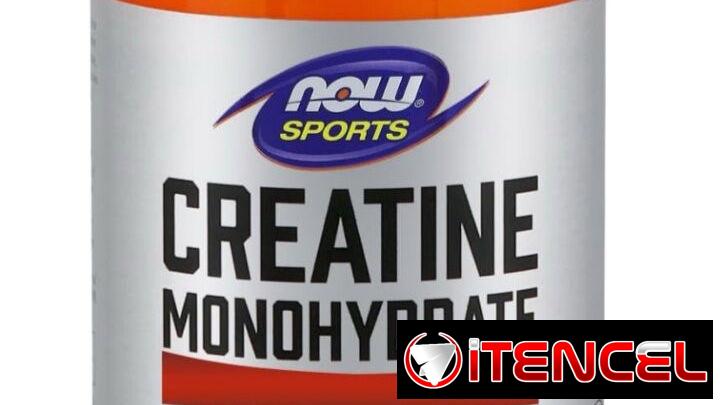 CREATINA MONOHIDRATADA NOW SPORTS 55055685 ACEPTO CUP