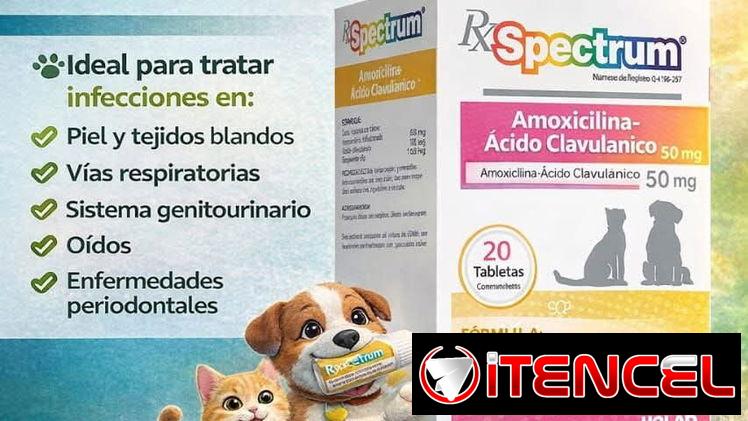 Amoxicilina 50mg para perros y gatos