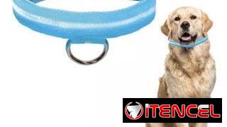 COLLAR CORREA PARA PERRO CON LUZ LED SEGURIDAD PARA PASEO NOCTURNO.