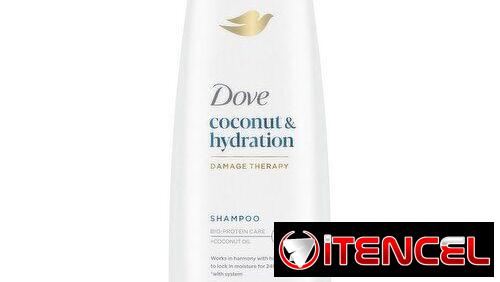 Dove champú hidratante para cabello seco