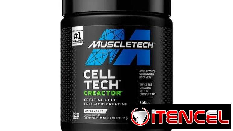 CREATINA MUSCLETECH