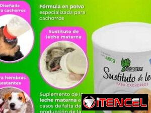 52cba35914665ec930336f6b9513a485dde65b858f53f5e2c4e74962f19f2900