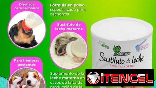 Leche maternizada para cachorros