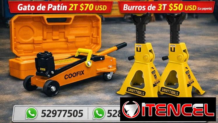 GATO DE PATÍN 2T