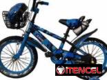Bicicleta con cesta