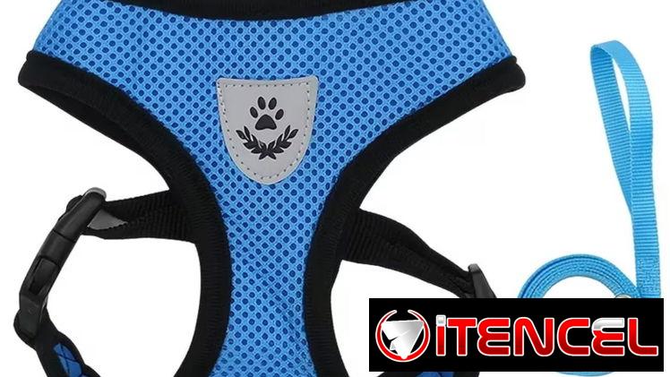 Pechera con correa