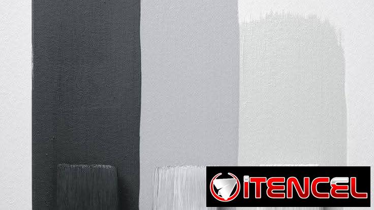 ¡Servicio Completo de Pintor y Mantenimiento para Casas y Negocios!