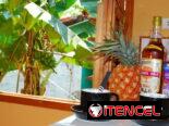🌊Casa de Renta en Viñales/Hospedaje para grupos Viñales/Excursiones Viñales 🌊