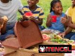 Cesta para picnic. Canasta paseo almuerzo.