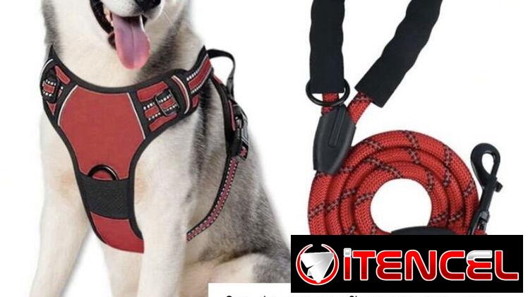 Pecheras con Correa para mascotas